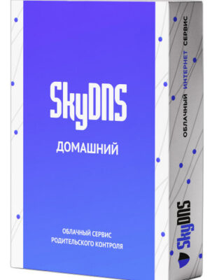 Купить skyDNS для дома