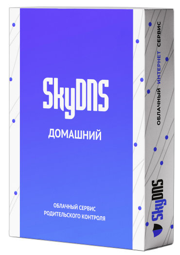 Купить skyDNS для дома